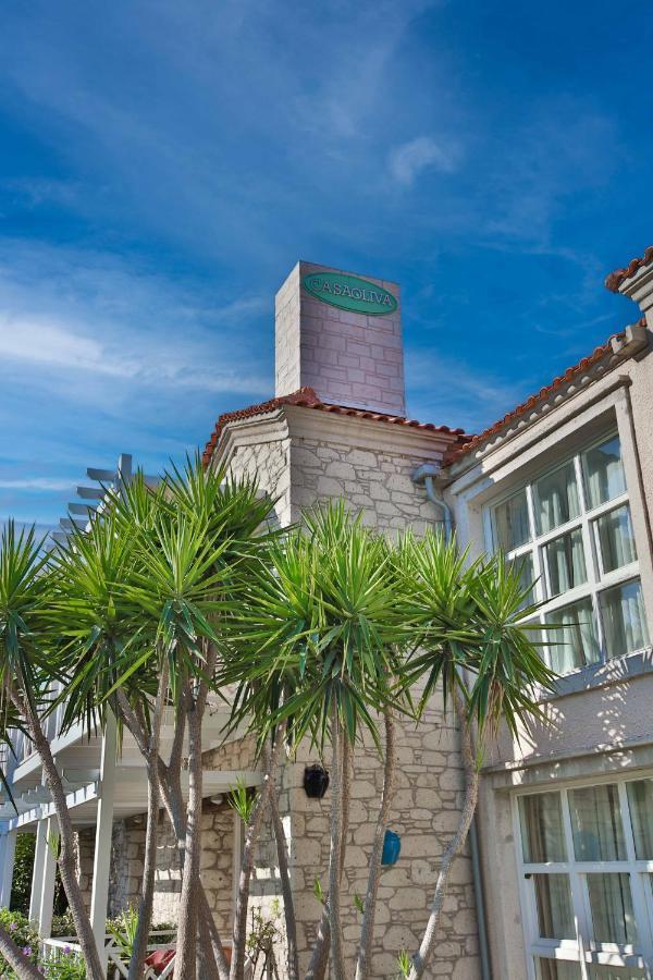 Casa Oliva Alacati - Adults Only 14 Plus Dış mekan fotoğraf