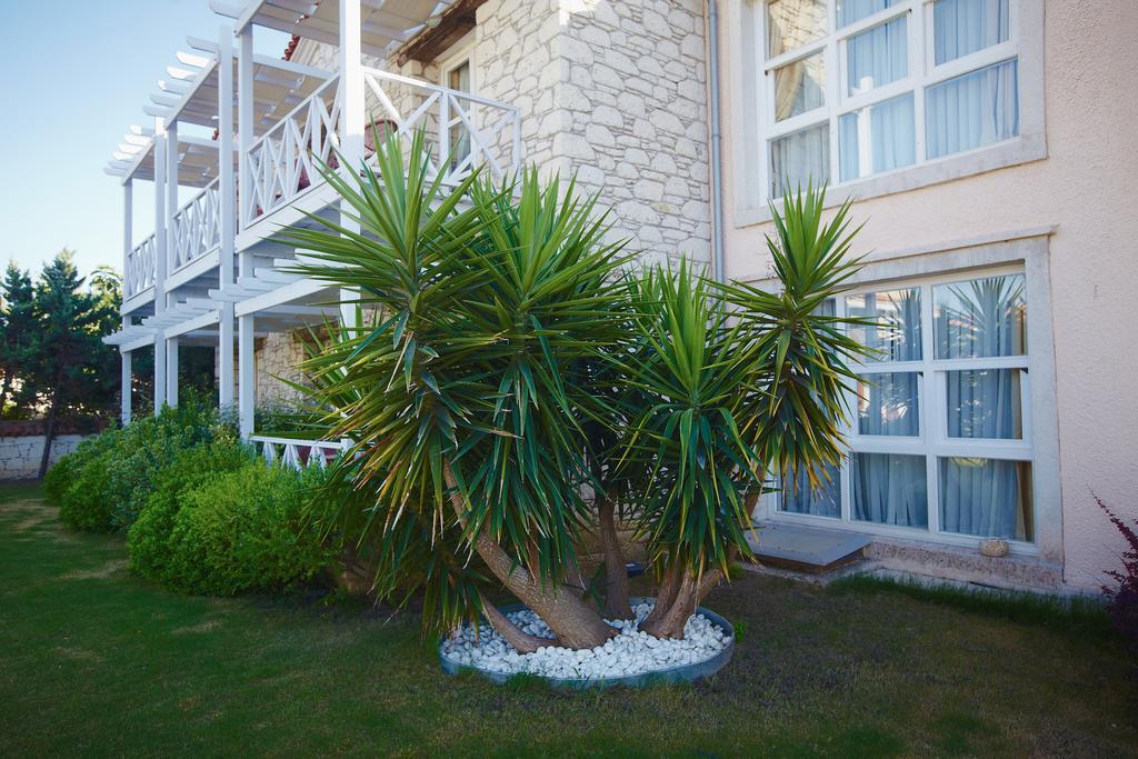 Casa Oliva Alacati - Adults Only 14 Plus Dış mekan fotoğraf